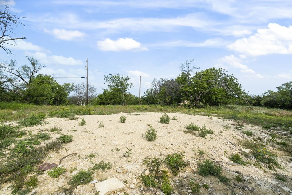 Picture 31