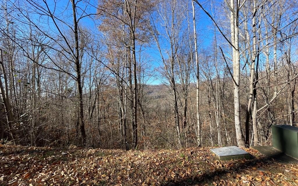 Hayesville Vacant Lot with Views