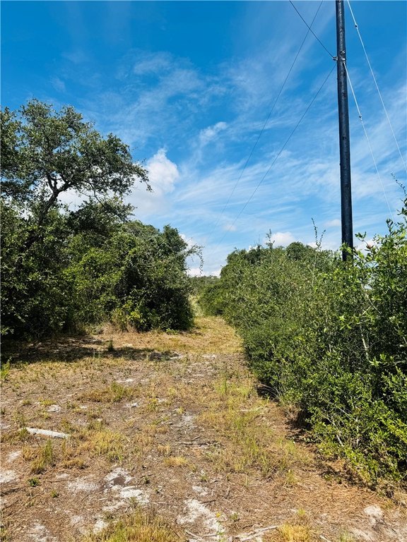 Picture 9