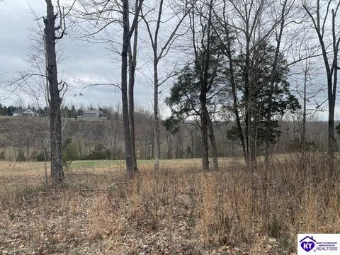 Residential Lot Near Rough River