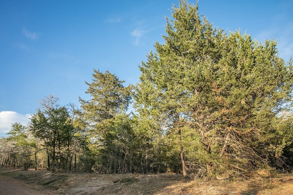 Picture 8