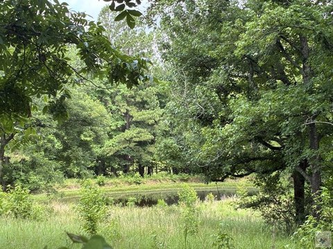 LAND - Texarkana, AR