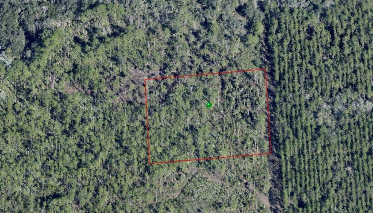 Undeveloped Land in Central Florida