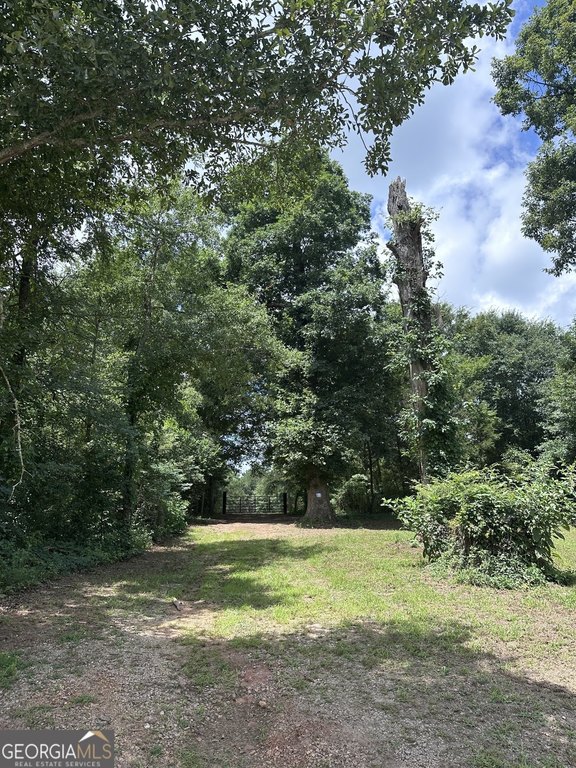 Picture 13