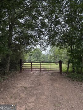 LAND - Williamson, GA