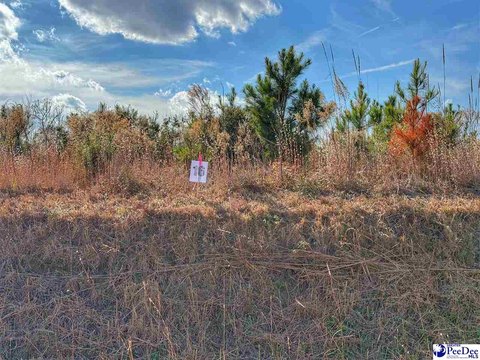 Residential Lot in Latta, SC