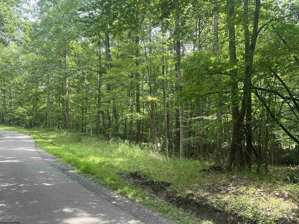 Picture 9