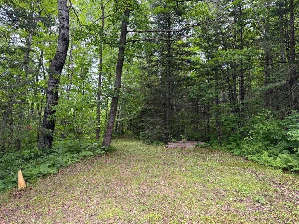 Picture 18