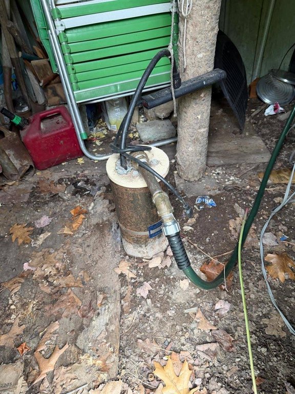 Picture 14
