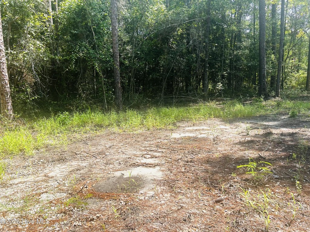 Picture 5