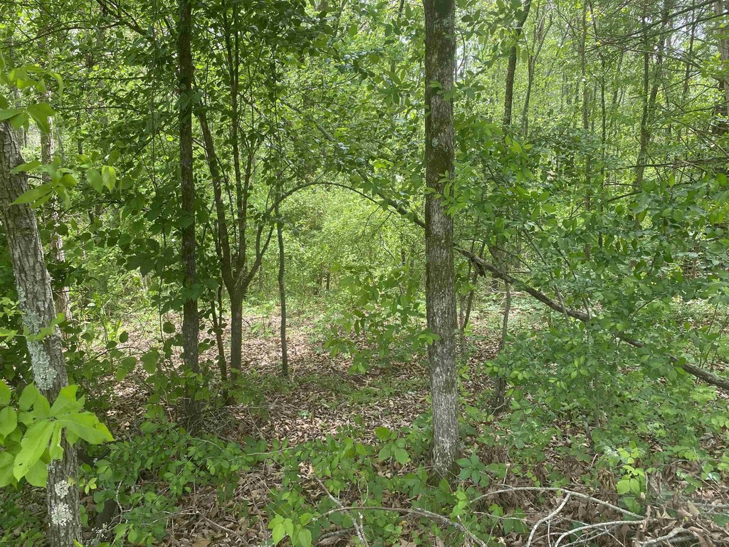 Picture 4