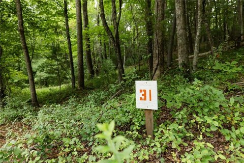 LAND - Lowgap, NC