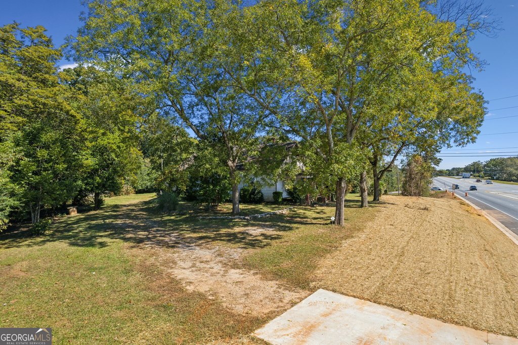 Picture 8
