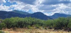 Hereford Land with Mountain Views