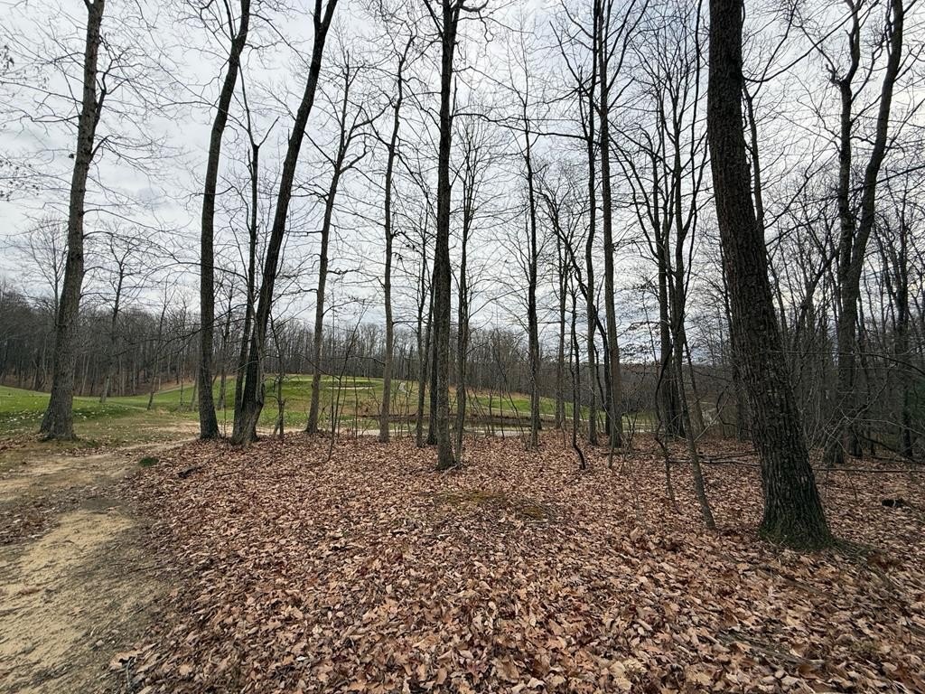 Picture 6