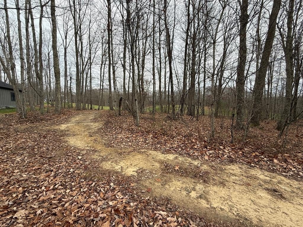 Picture 5