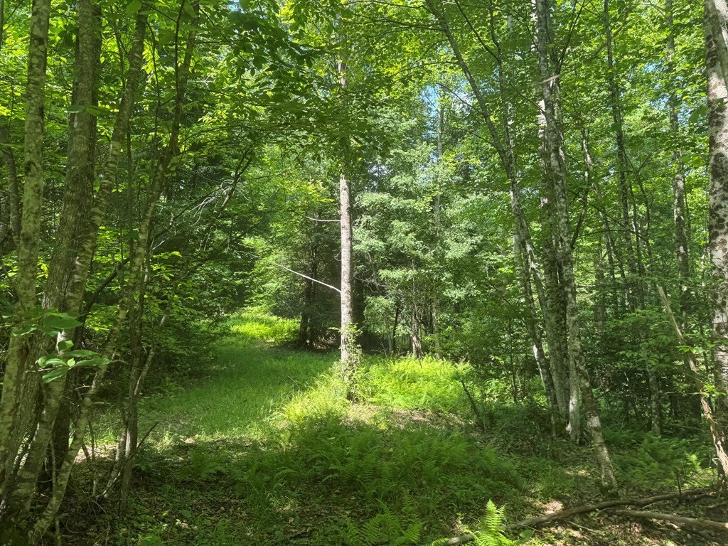 Picture 33