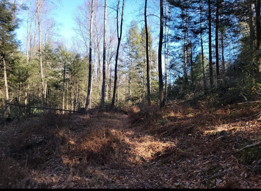 Picture 15
