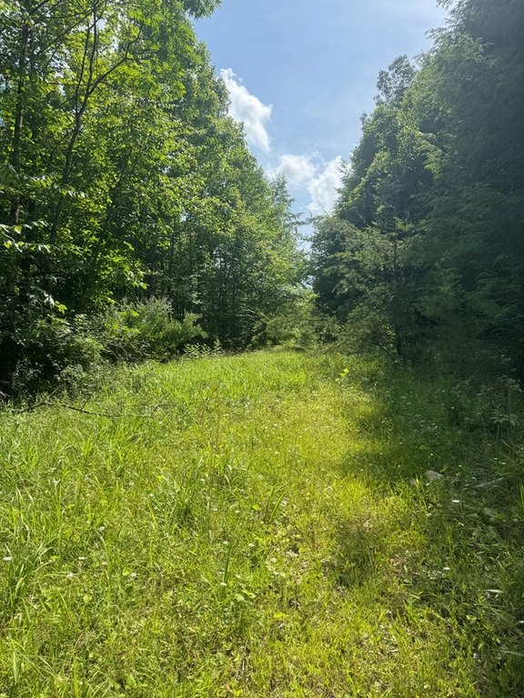 Picture 25