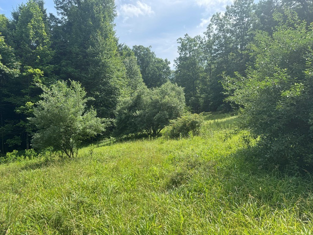 Picture 22
