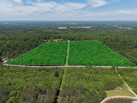LAND/LOTS, BLOUNTSVILLE, AL