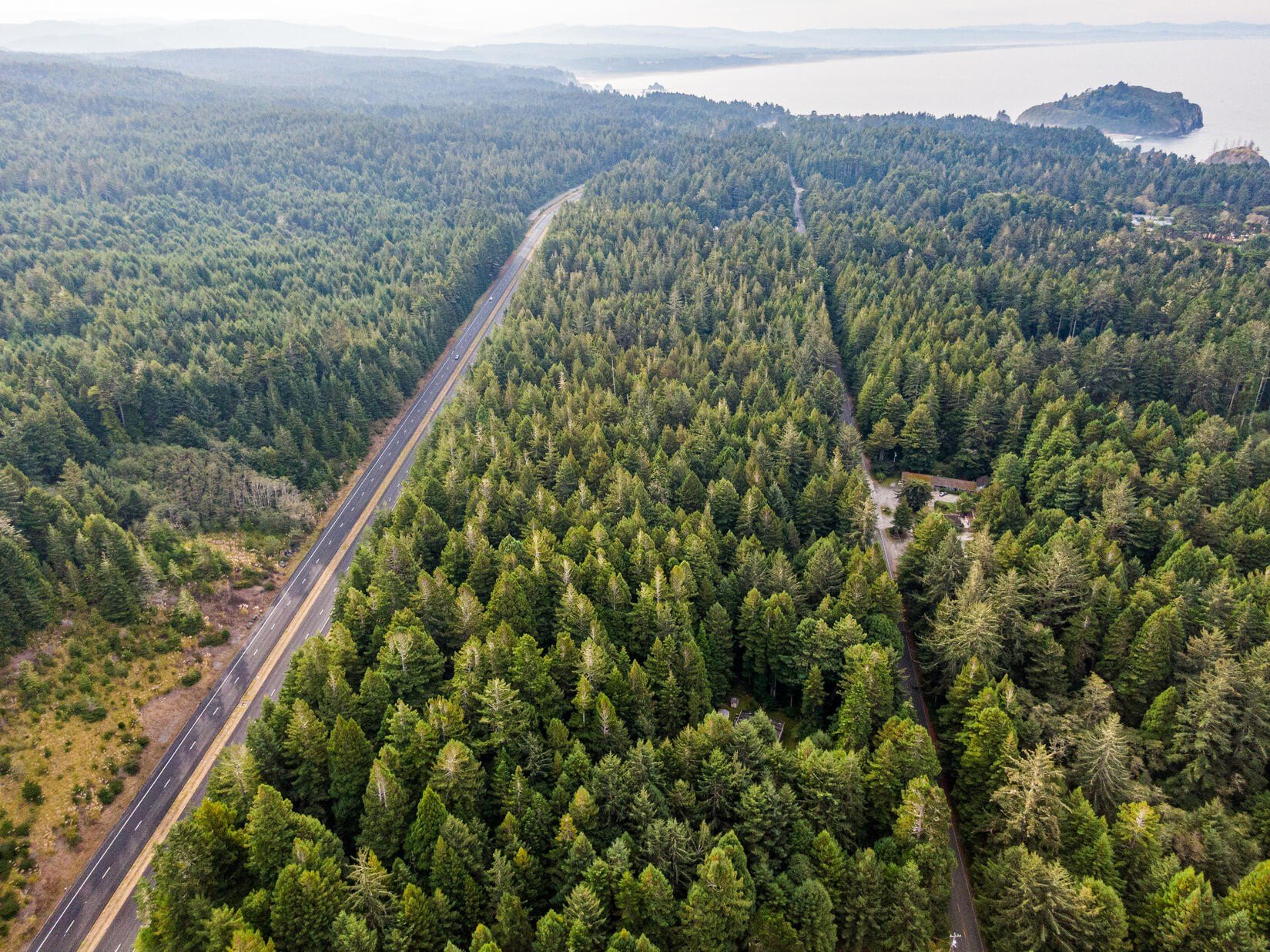 Redwood Forest Land Opportunity