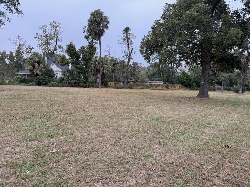 Picture 6