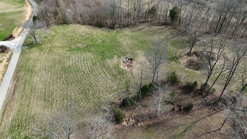 Picture 2