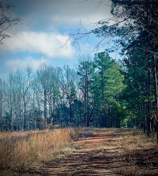 Milledgeville Land with Road Frontage