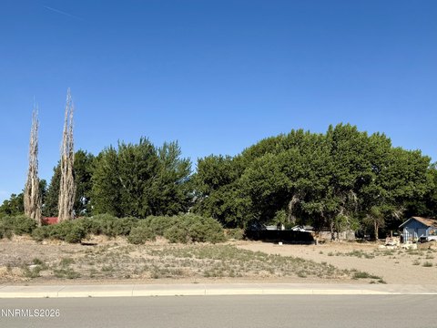 LAND - Yerington, NV