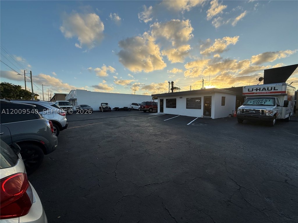 Picture 8