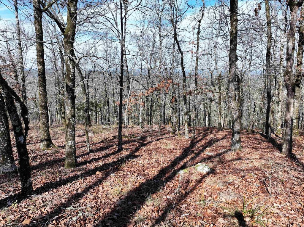 Picture 14