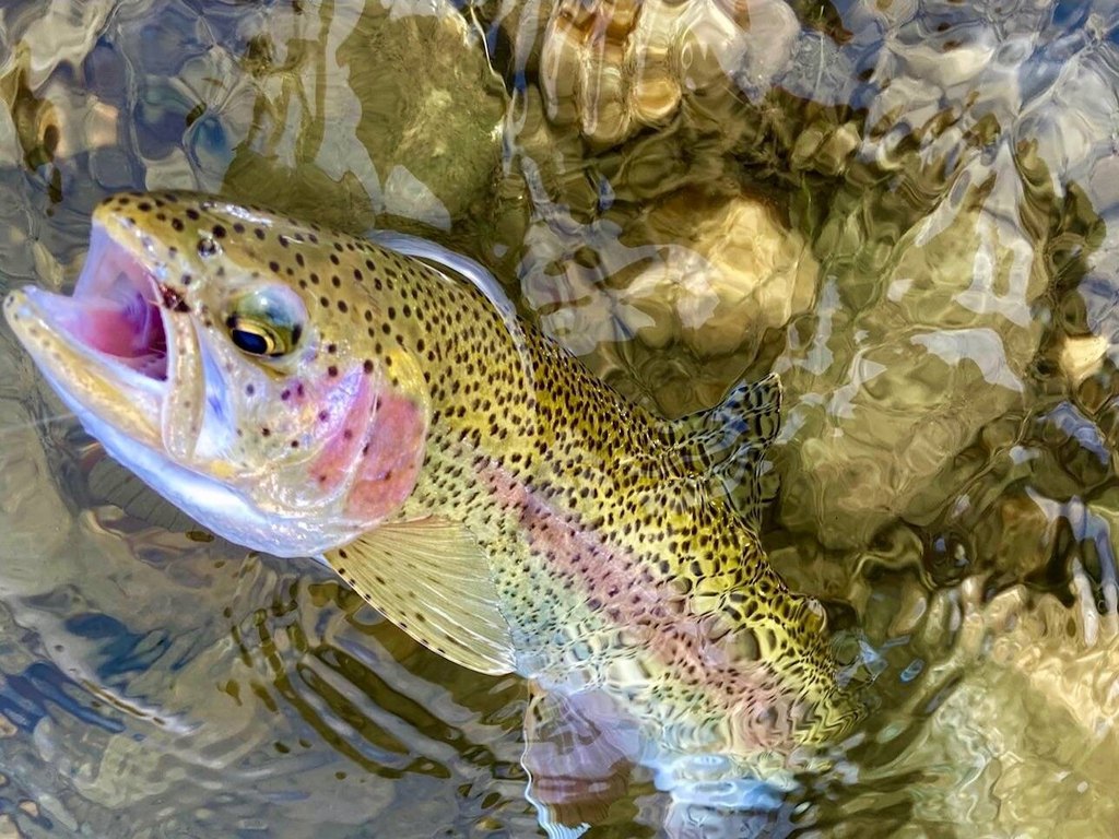 Picture 2
