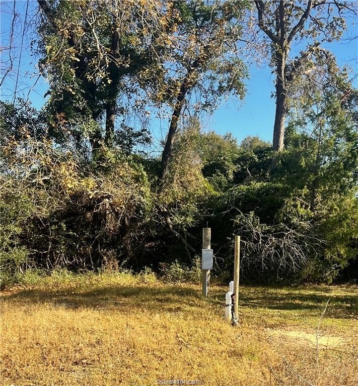 Picture 17
