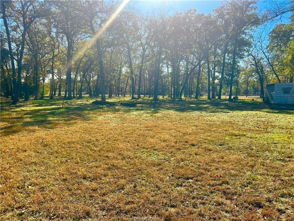 Picture 7