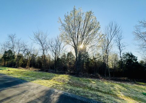 2.8 Acre Wooded Homesite