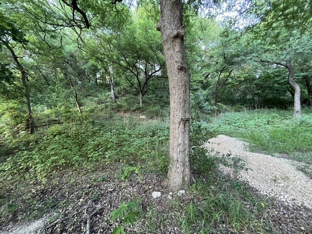 Picture 10