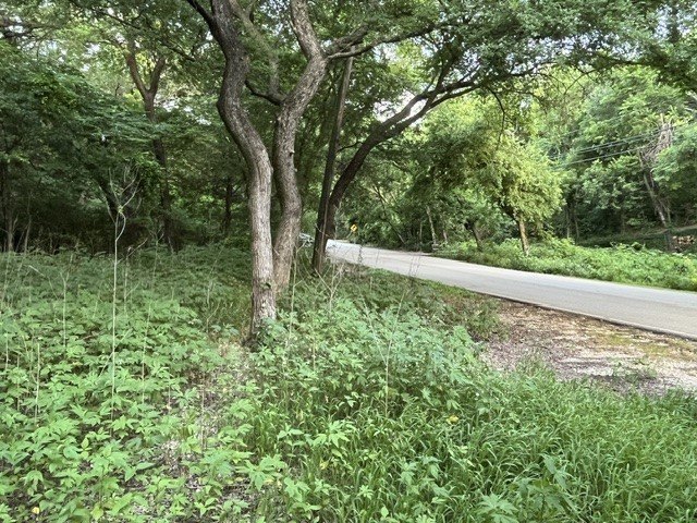 Picture 15