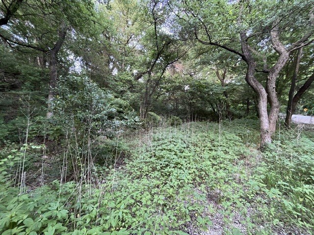 Picture 14