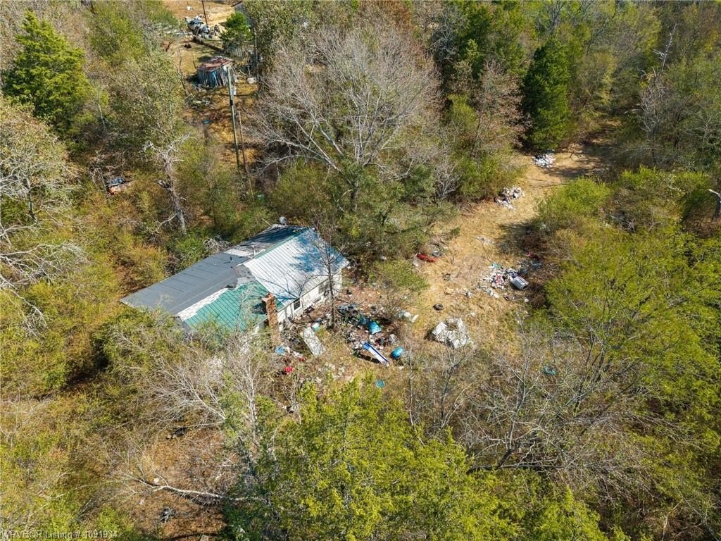 Picture 2