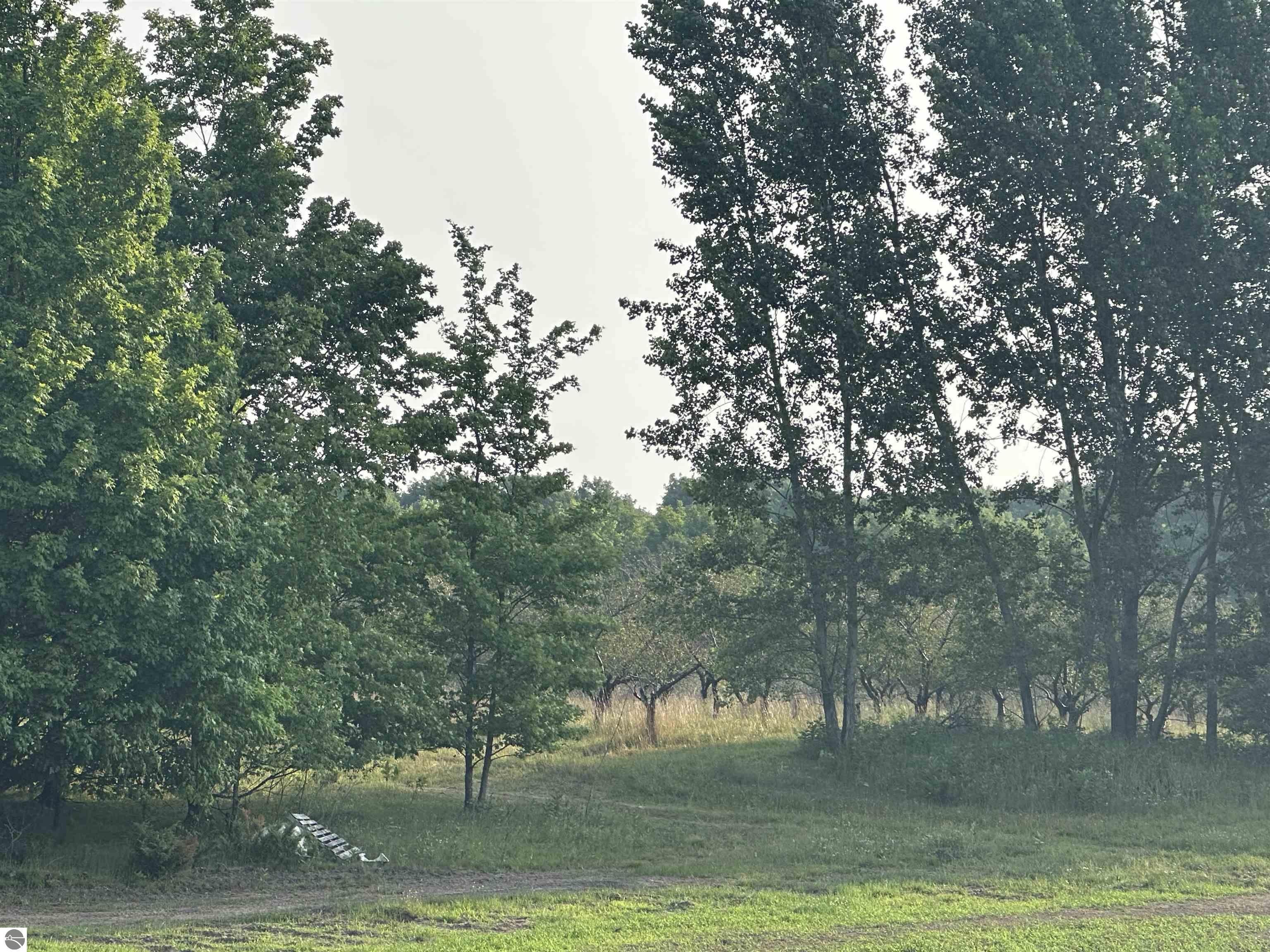 Glen Arbor Wooded Lot For Sale