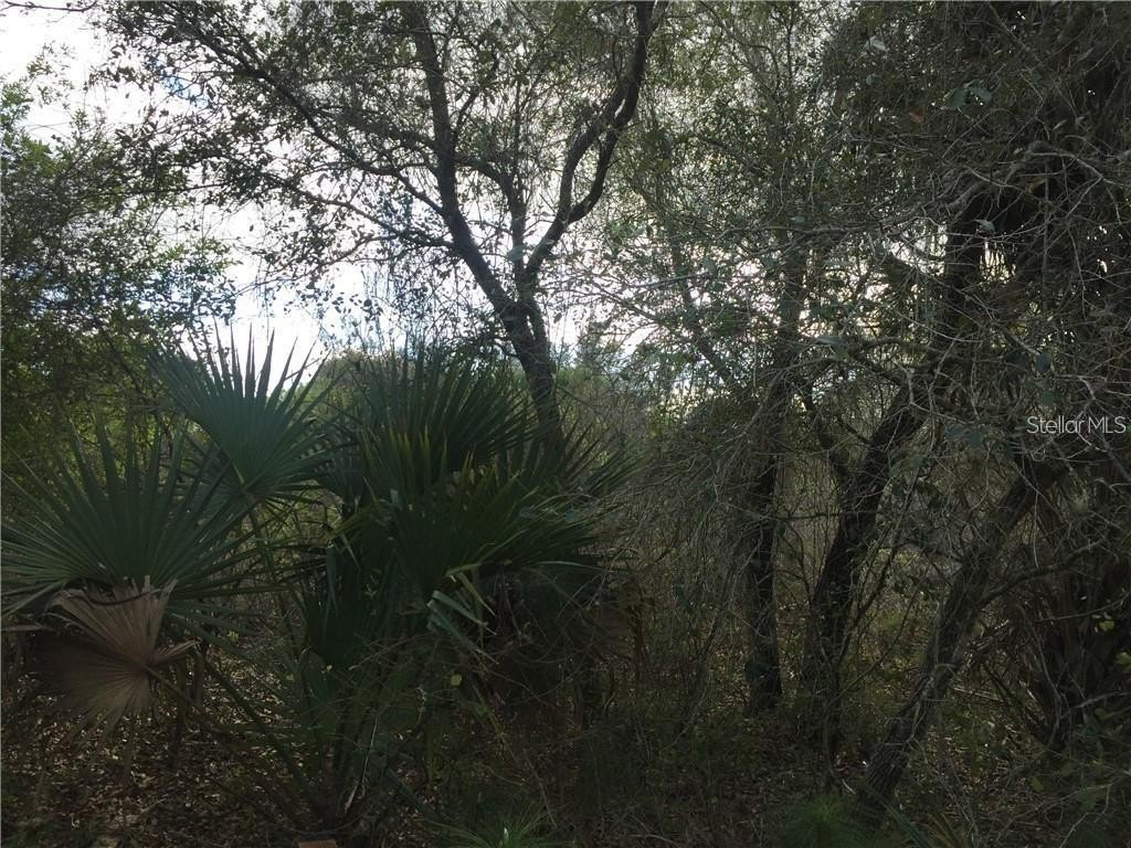 Picture 5