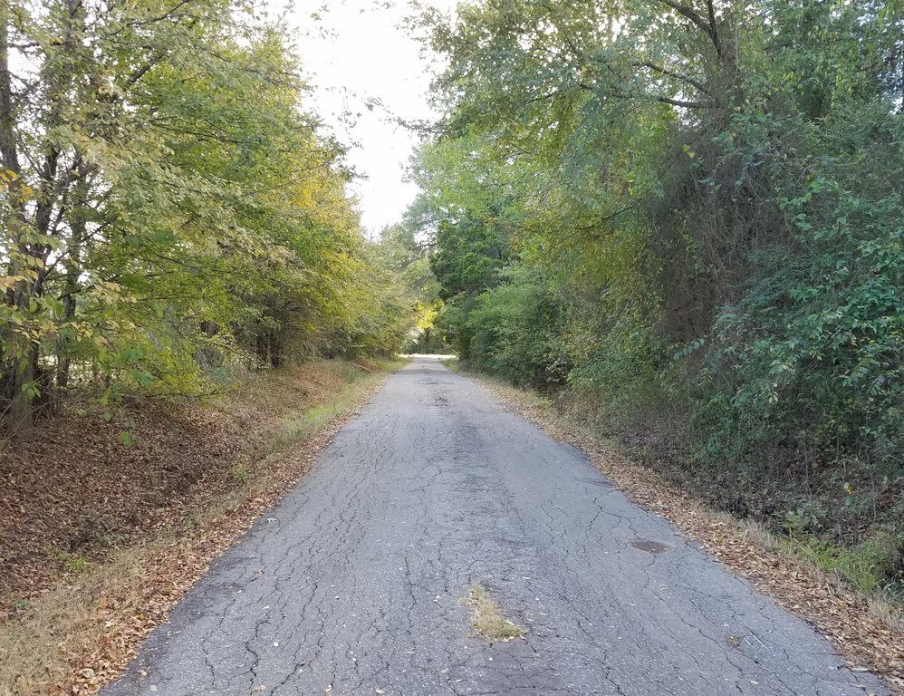 Picture 21
