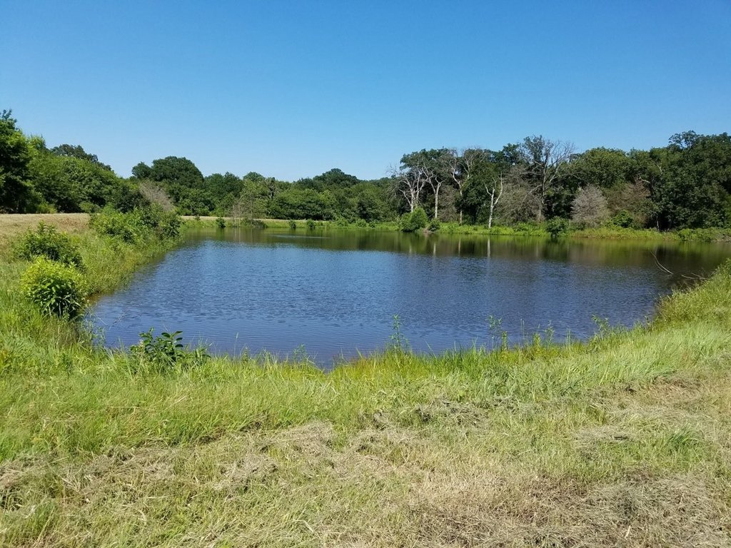 Picture 20