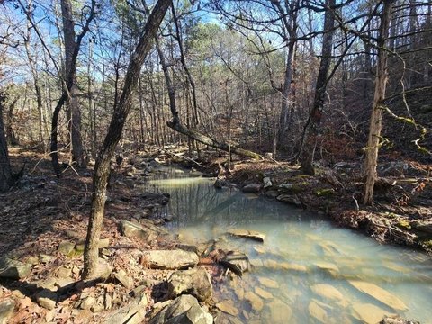 Wooded Waterfront Recreational Land