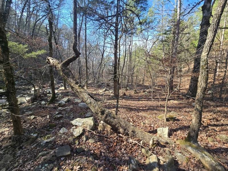 Picture 8