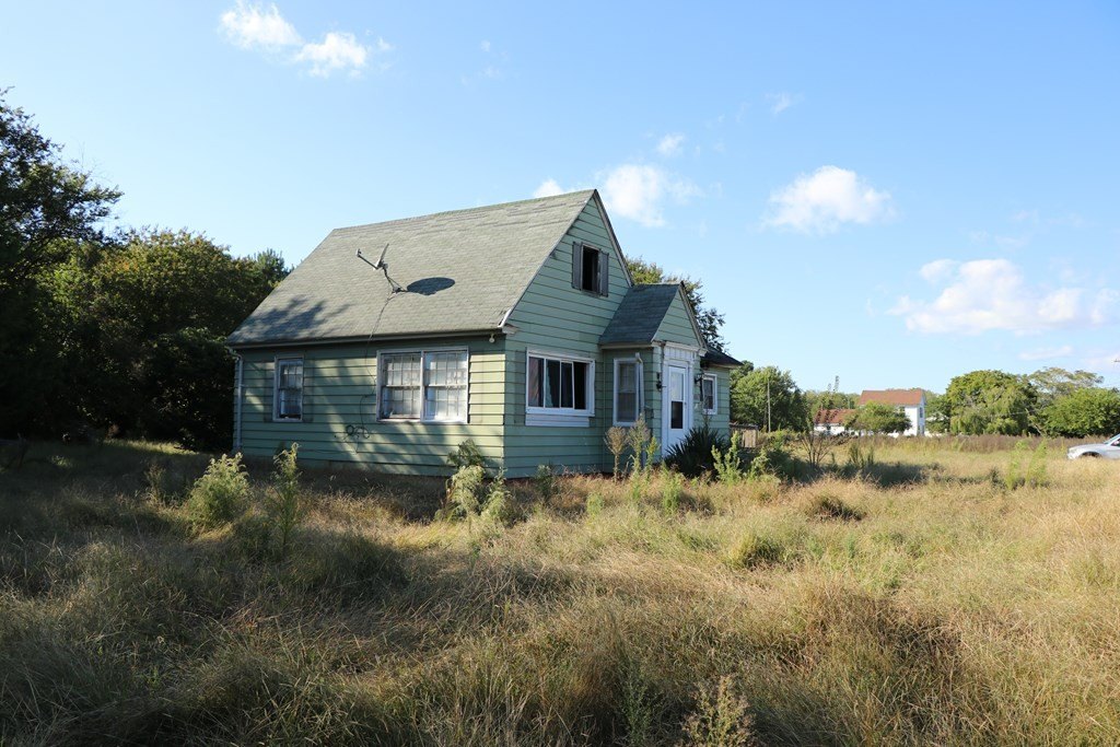 Picture 11