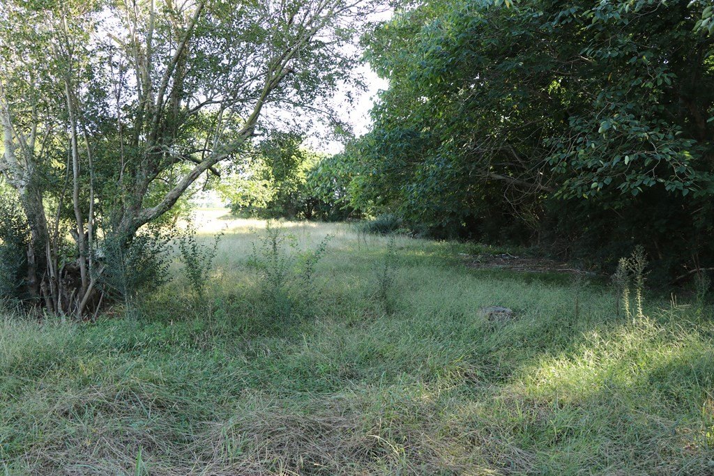 Picture 9