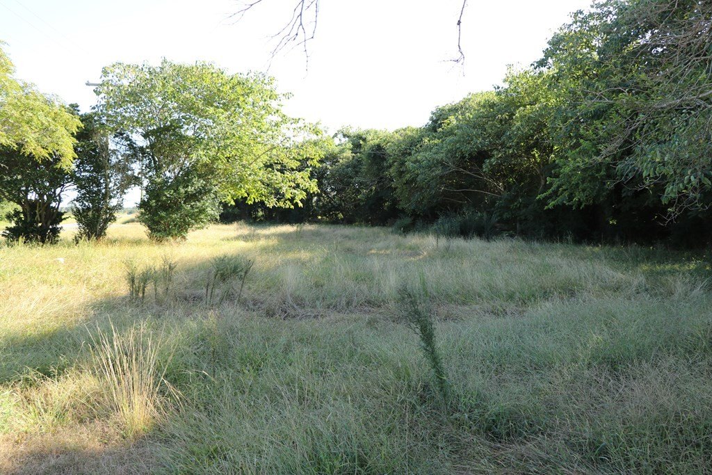 Picture 10