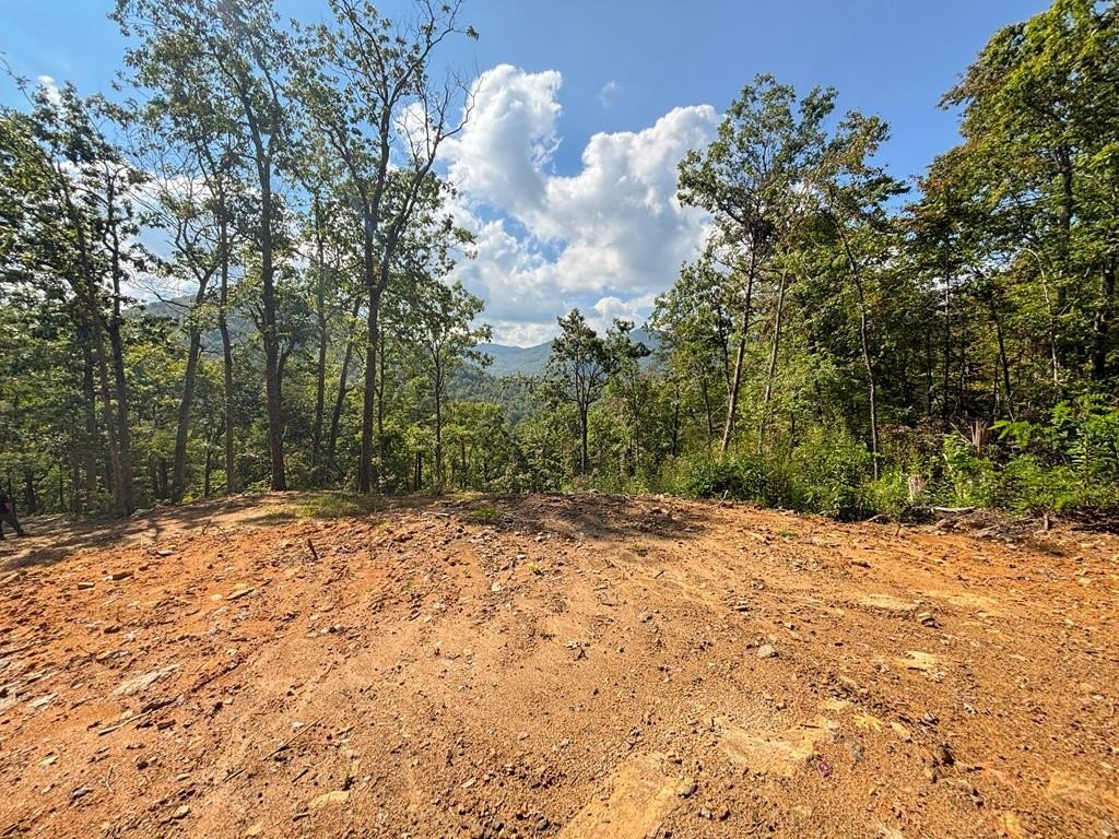 Land in Tuckasegee, NC